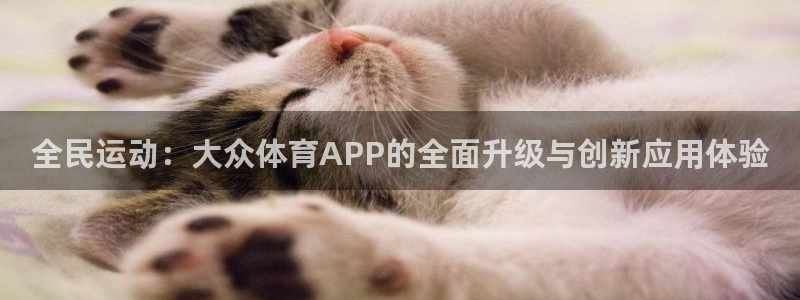 全民运动：大众体育APP的全面升级与创新