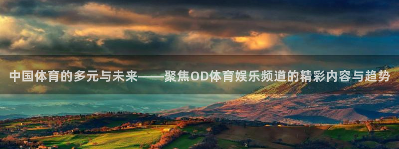 中国体育的多元与未来——聚焦OD体育娱乐