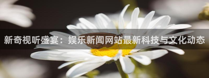 新奇视听盛宴：娱乐新闻网站最新科技与文化
