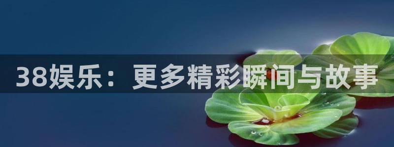 38娱乐：更多精彩瞬间与故事