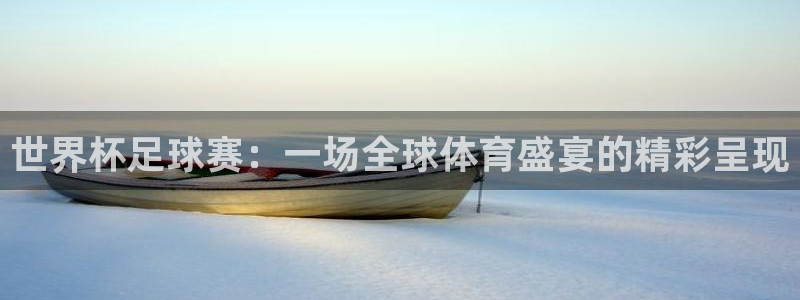 世界杯足球赛：一场全球体育盛宴的精彩呈现