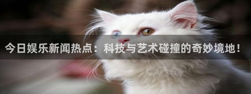 今日娱乐新闻热点：科技与艺术碰撞的奇妙境