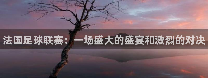 法国足球联赛：一场盛大的盛宴和激烈的对决